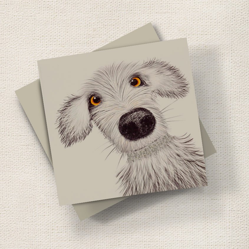 Spike Dog English Graphics