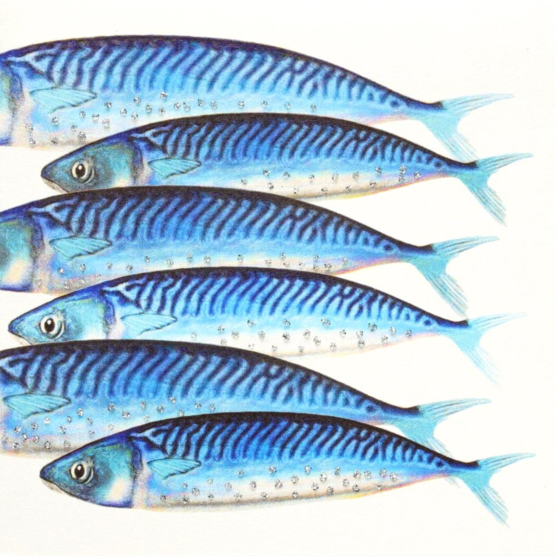 Mackerel English Graphics