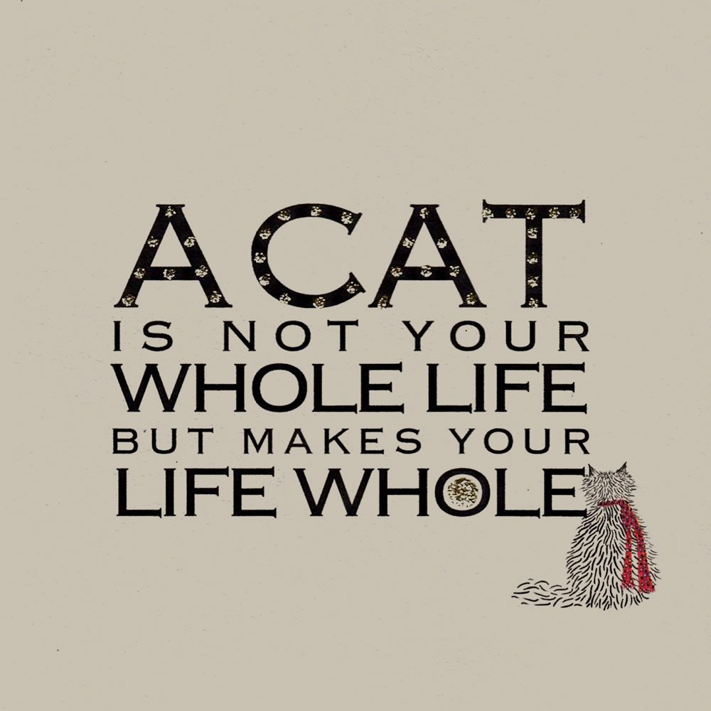 A Cat is... English Graphics