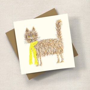Scruffy Cat
