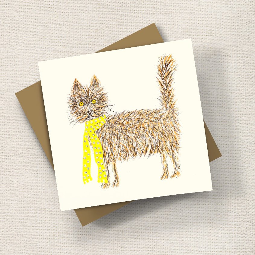 Scruffy Cat