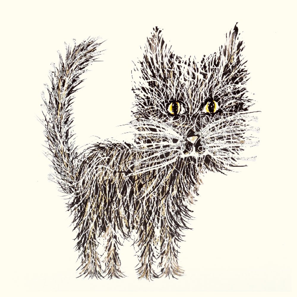 Whiskers Cat English Graphics