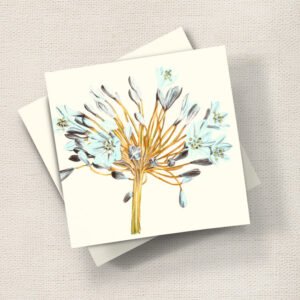 Agapanthus (Bronze)