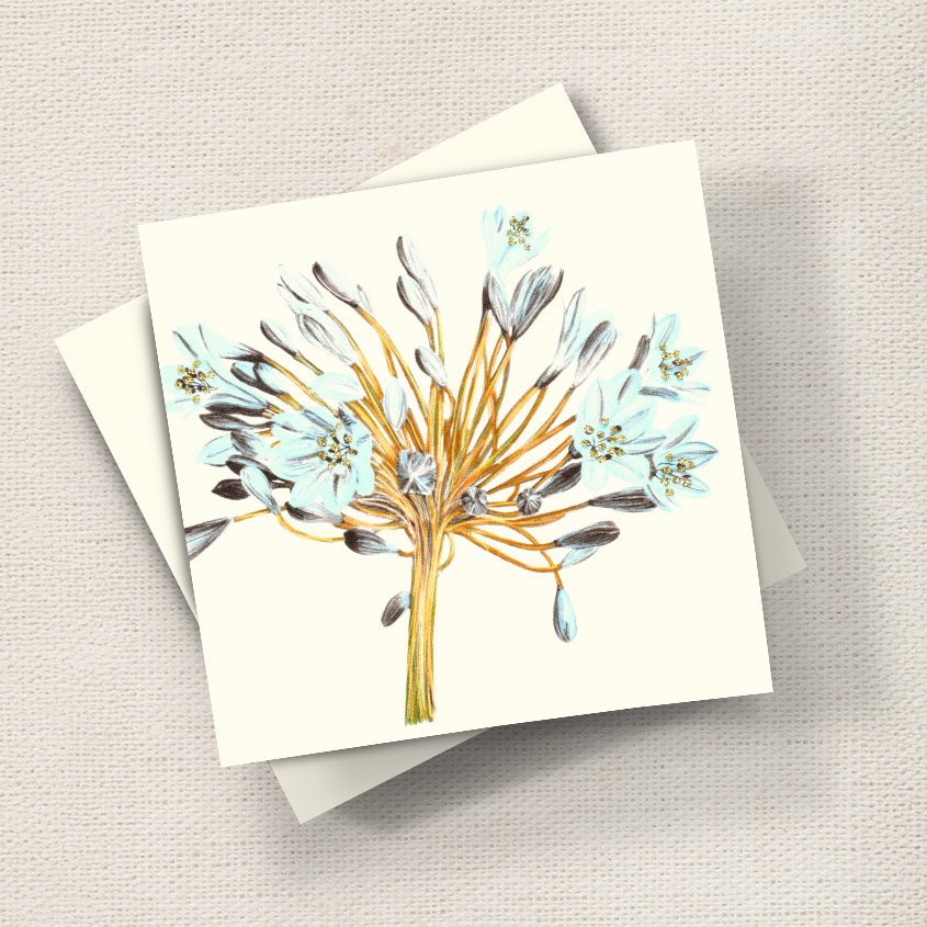 Agapanthus (Bronze)