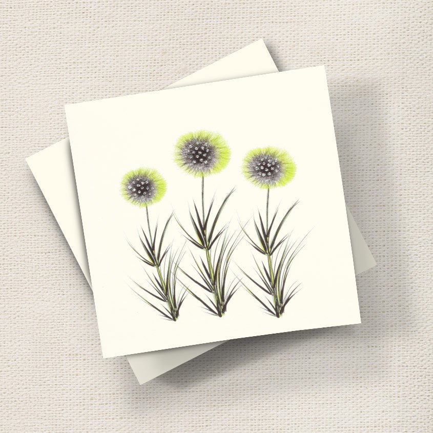 Alliums