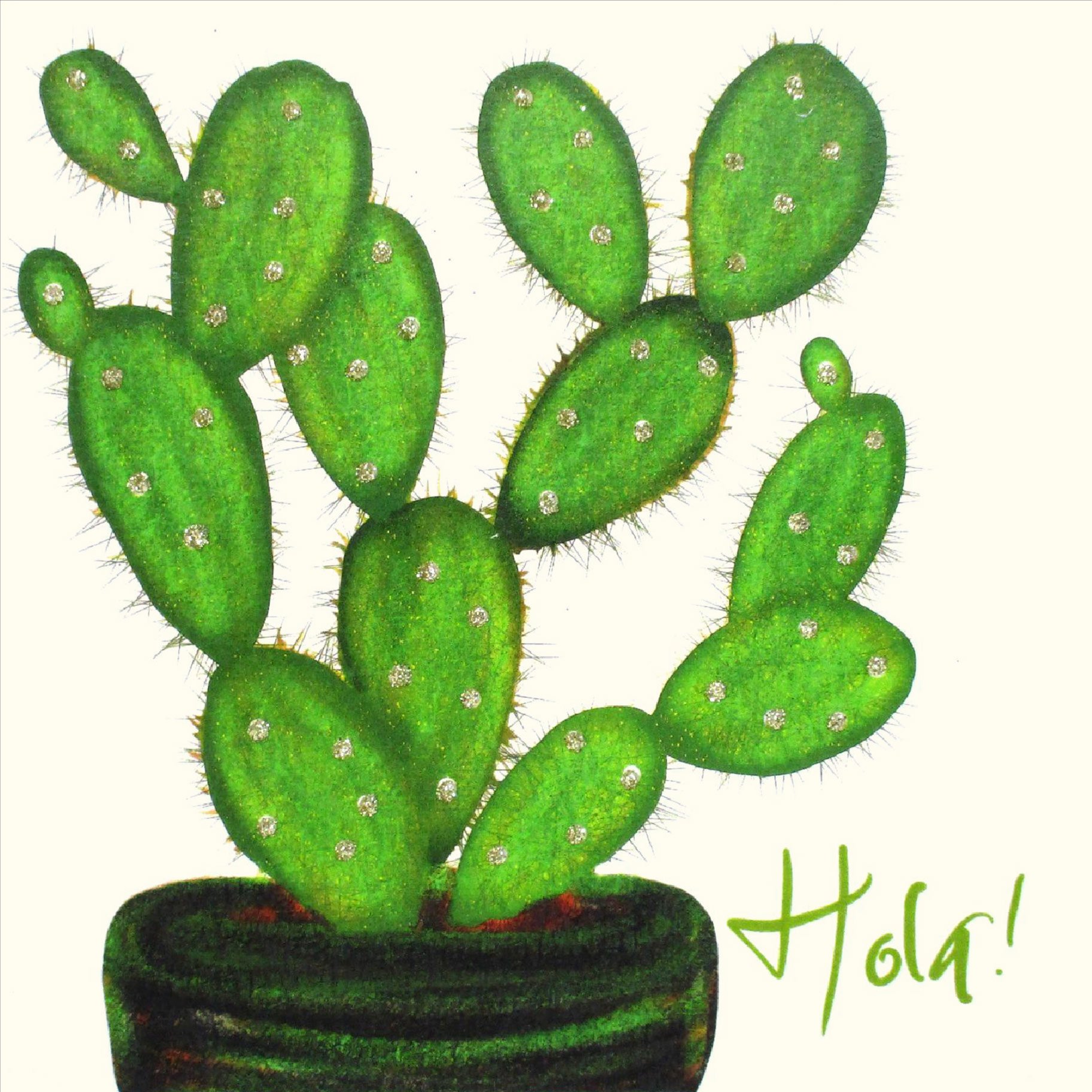 Cactus, 'Hola' English Graphics