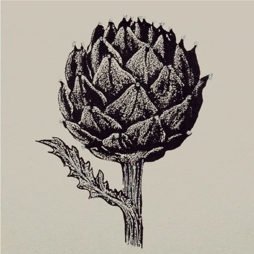 Artichoke - Image 3