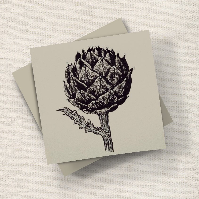 Artichoke English Graphics