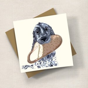 Beau Spaniel Puppy