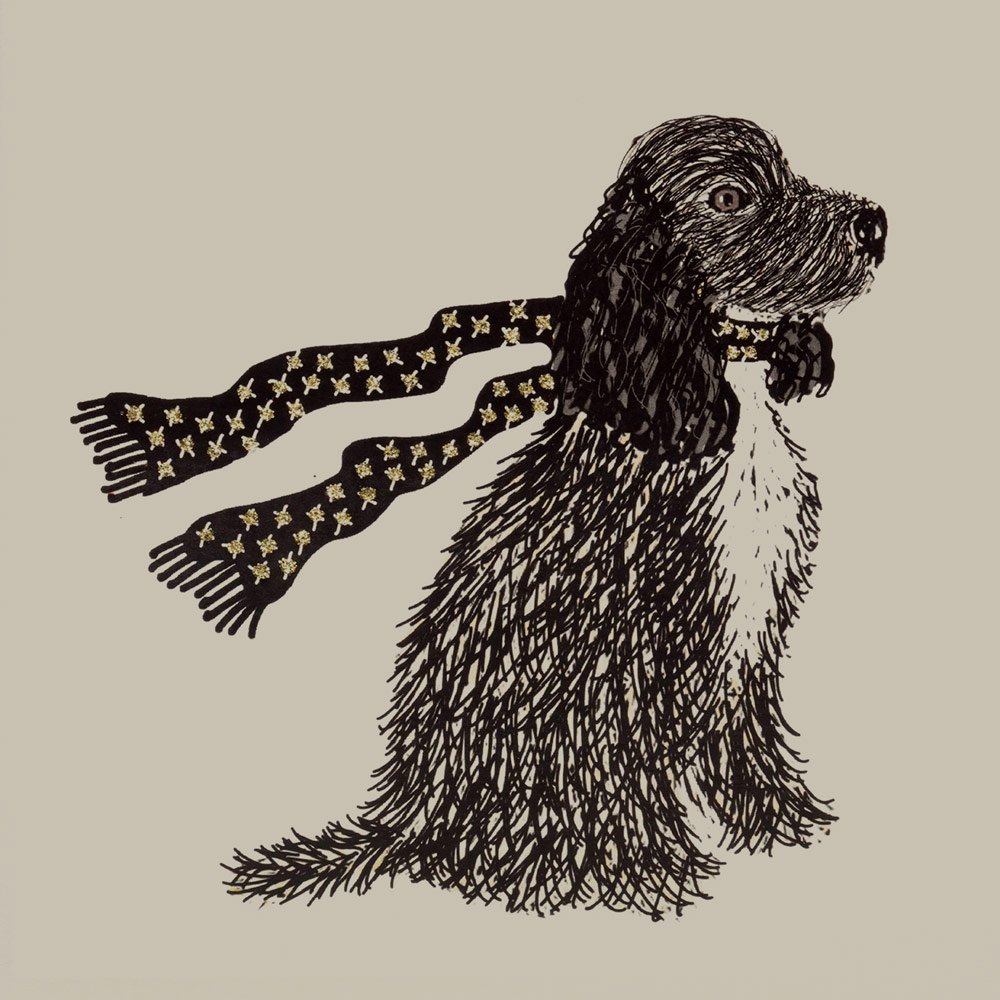 Black Cocker Spaniel - Image 3