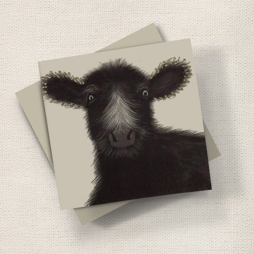 Black Cow English Graphics