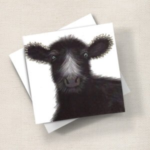 Black Cow