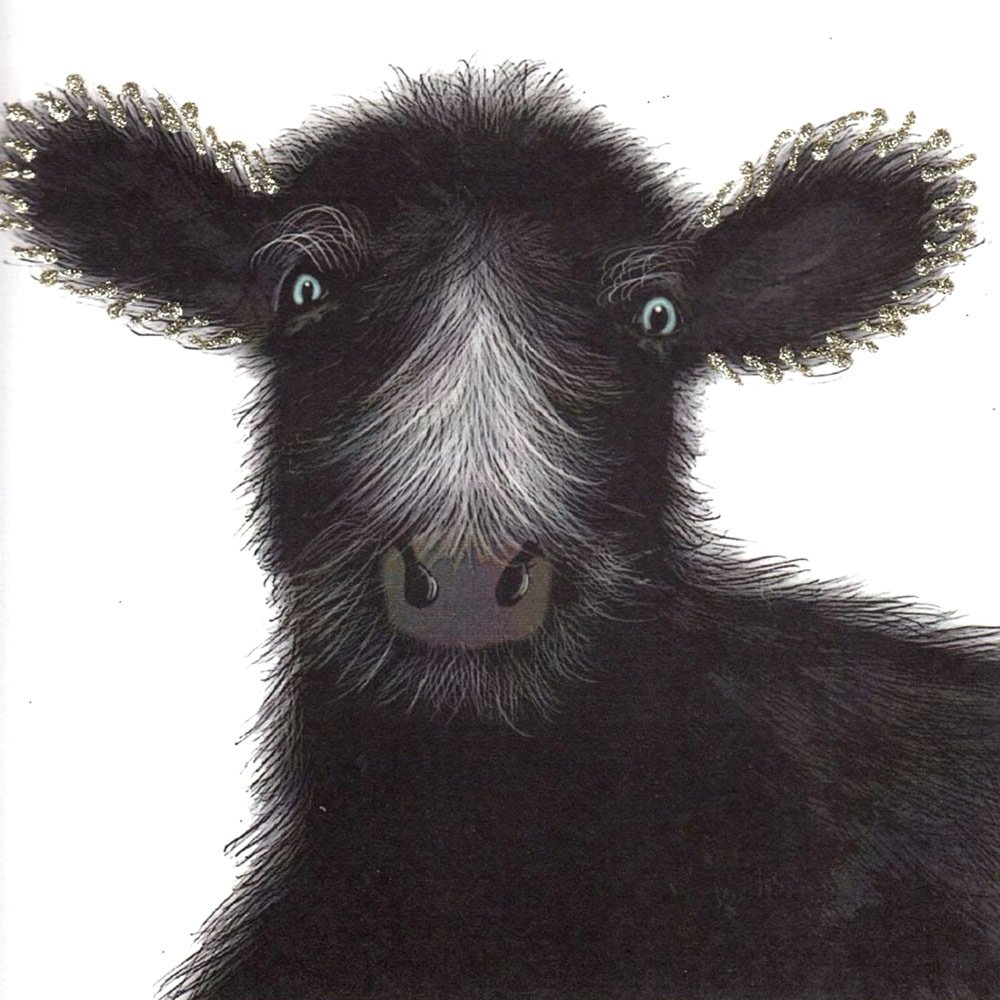 Black Cow - Image 2