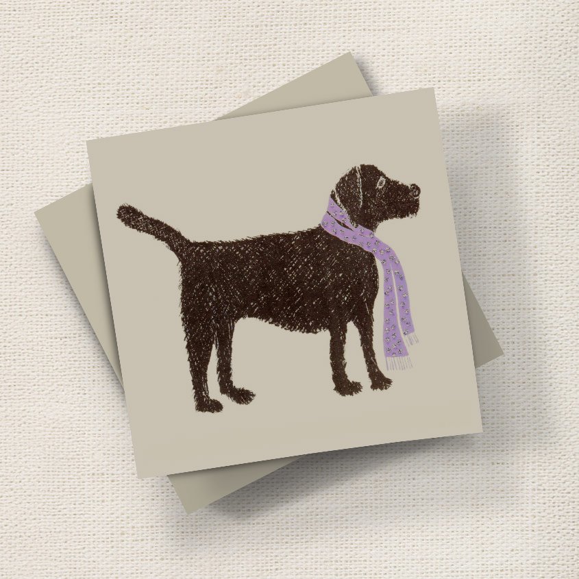 Black Labrador English Graphics