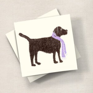 Black Labrador