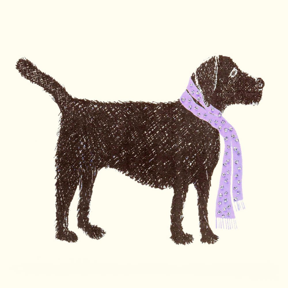 Black Labrador - Image 2