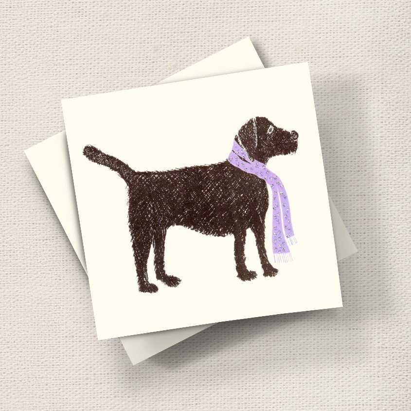 Black Labrador