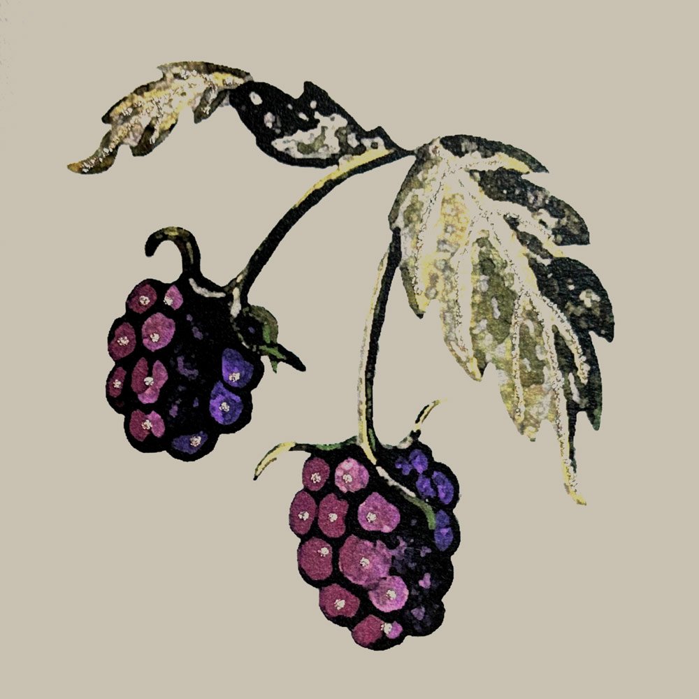 Blackberries - Image 3