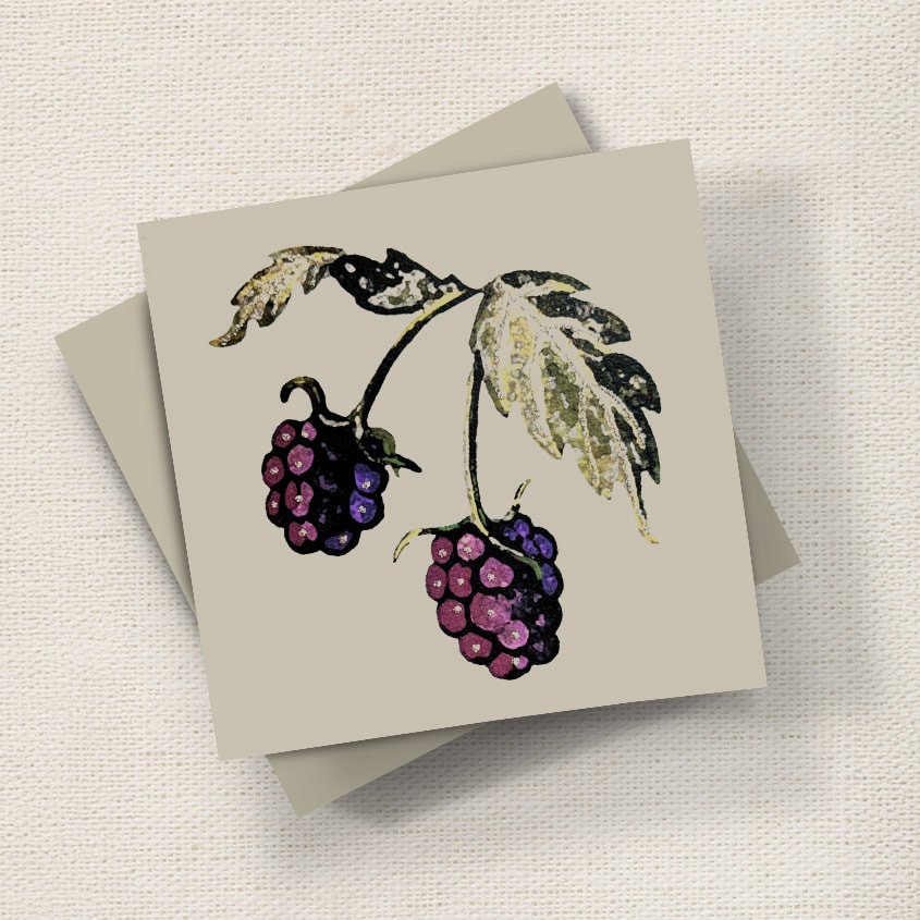 Blackberries English Graphics