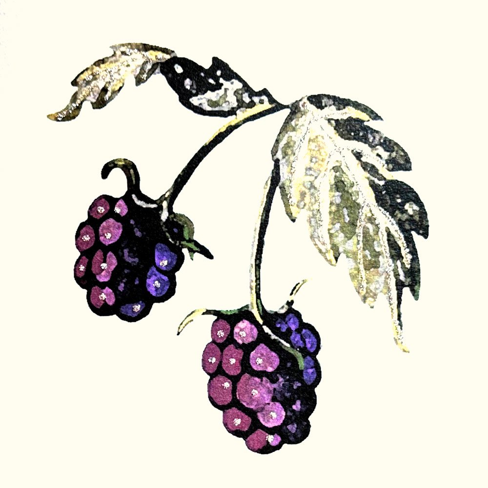 Blackberries - Image 2