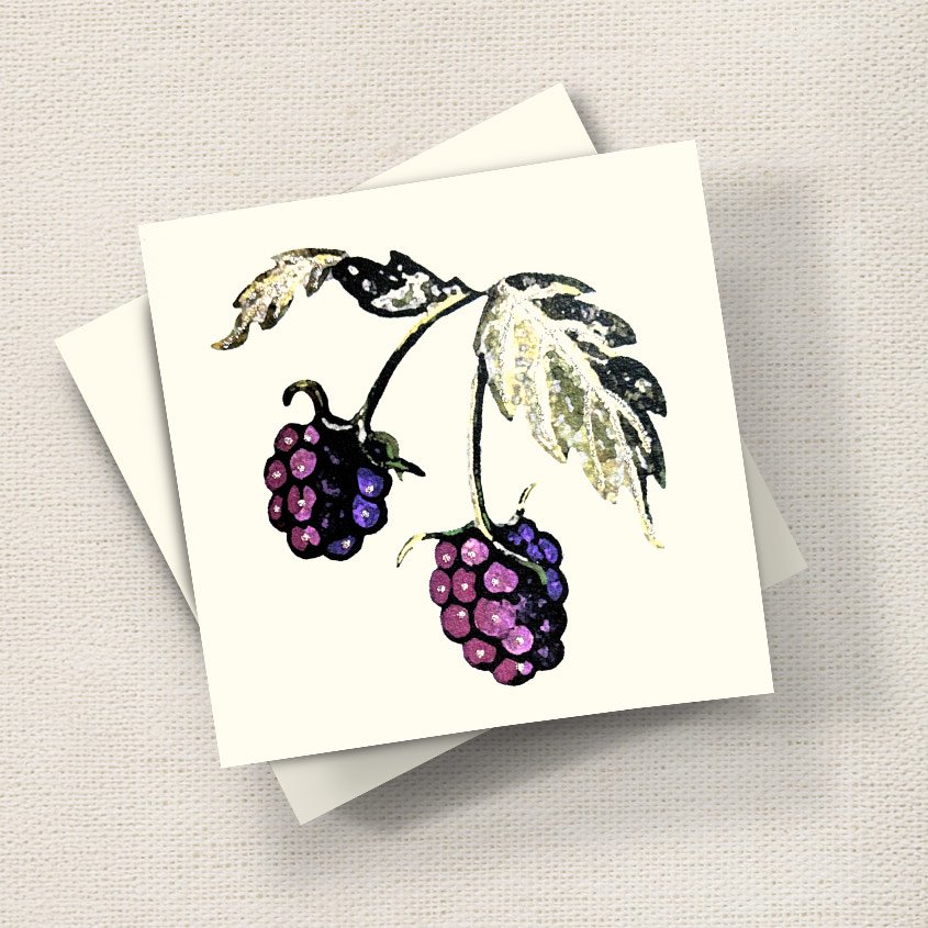 Blackberries