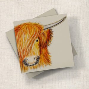 Golden Highland Cow