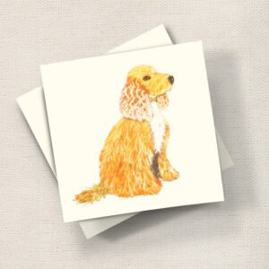 Cocker Spaniel (Blonde)