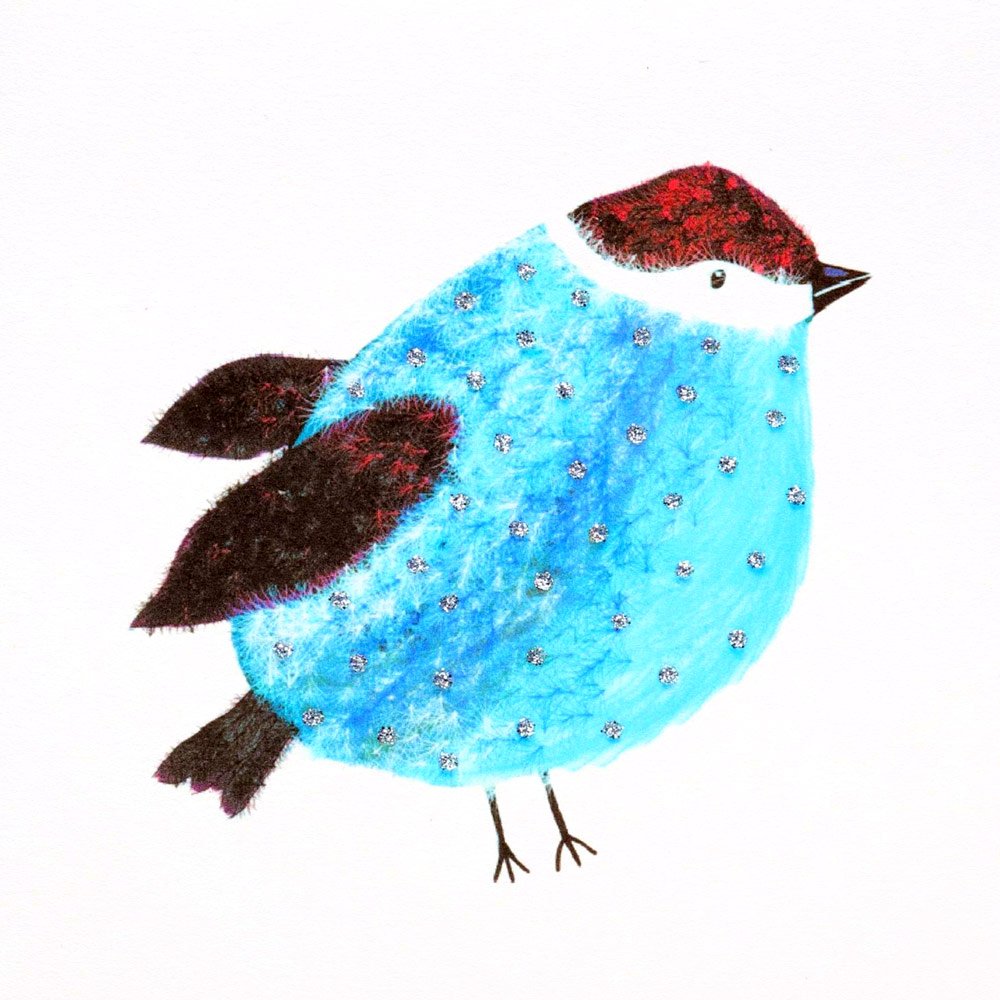 Blue Bird English Graphics