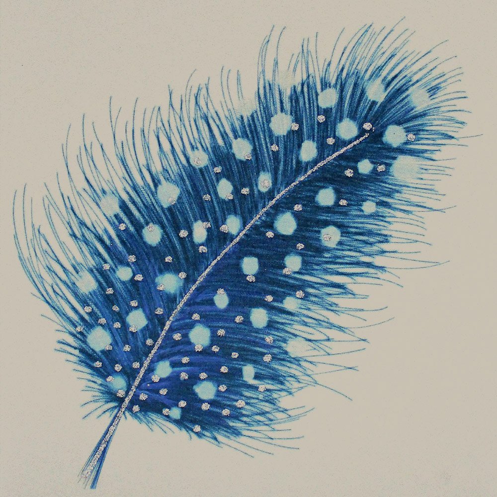 Feather (Blue) English Graphics