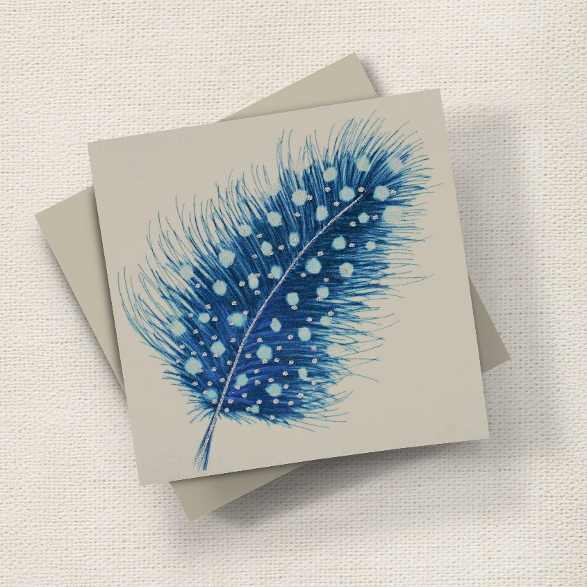 Feather (Blue)