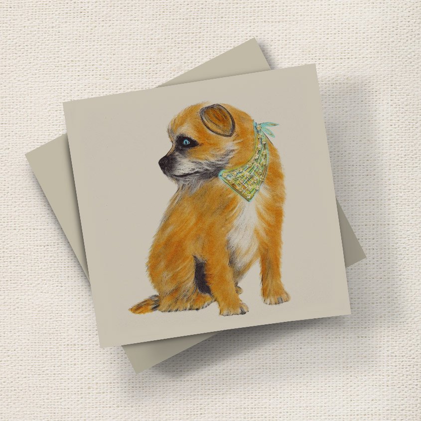 Border Terrier Profile English Graphics