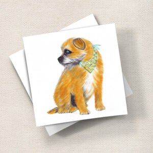 Border Terrier Profile
