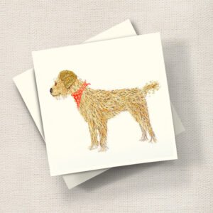Border Terrier