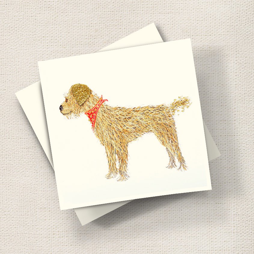 Border Terrier