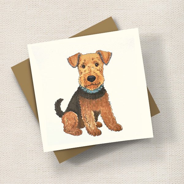 Bryn Terrier