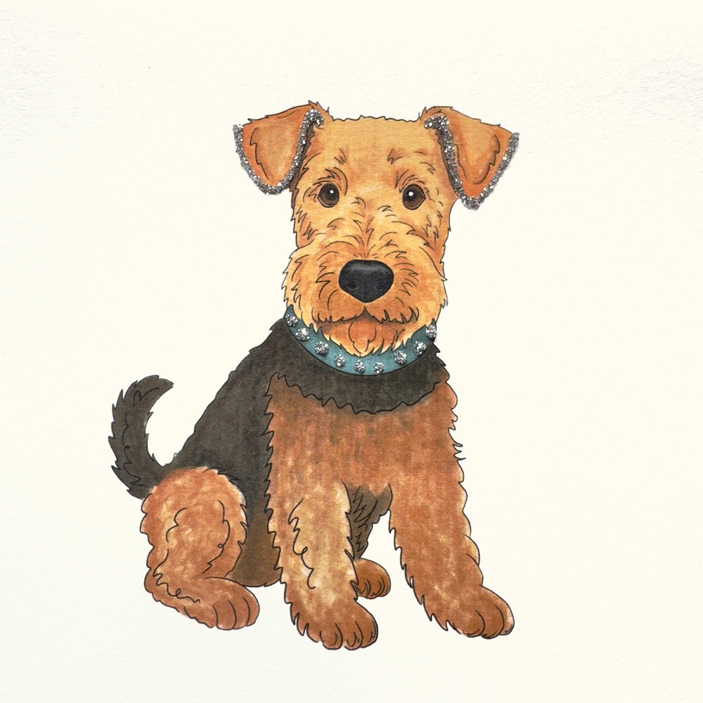 Bryn Terrier English Graphics