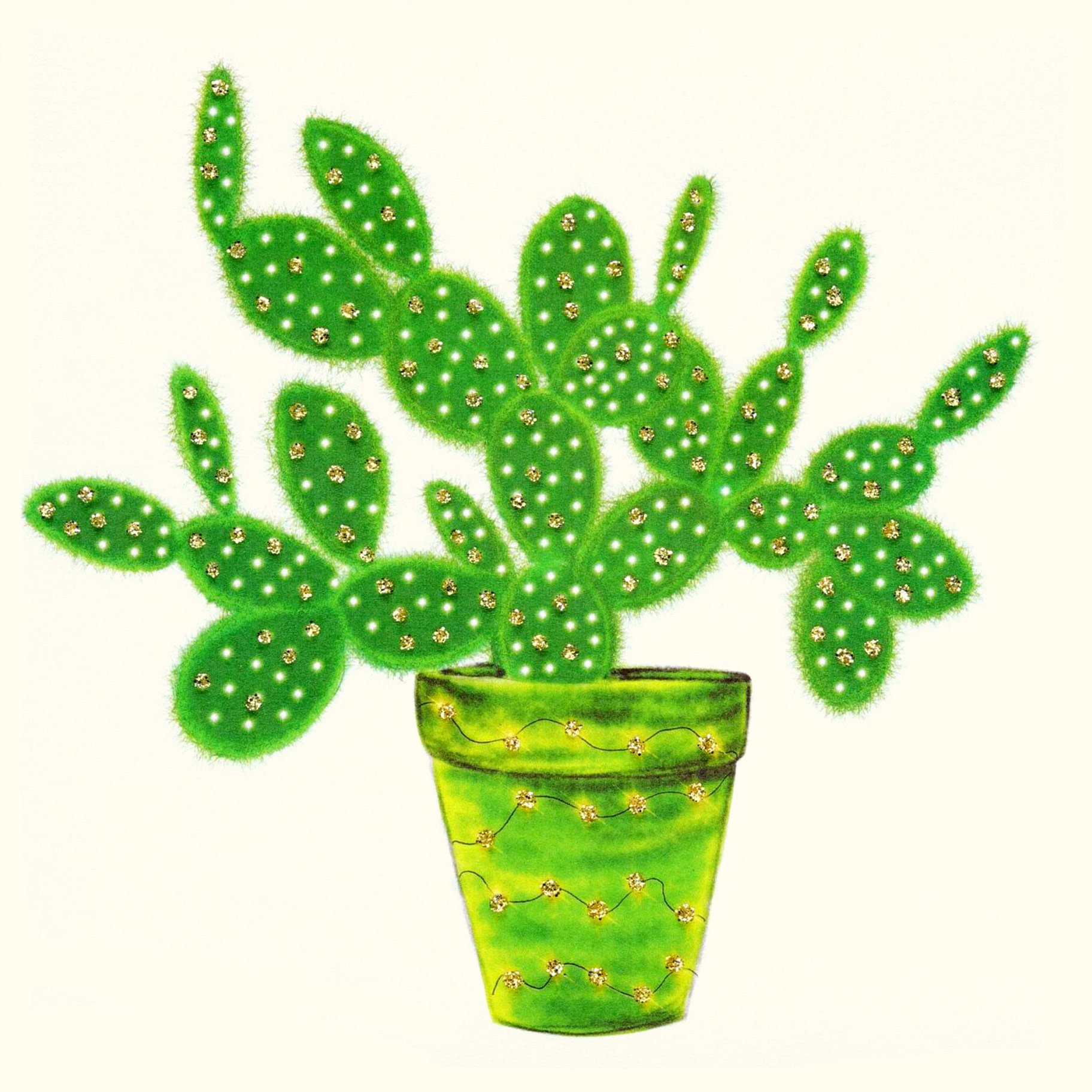 Cactus English Graphics