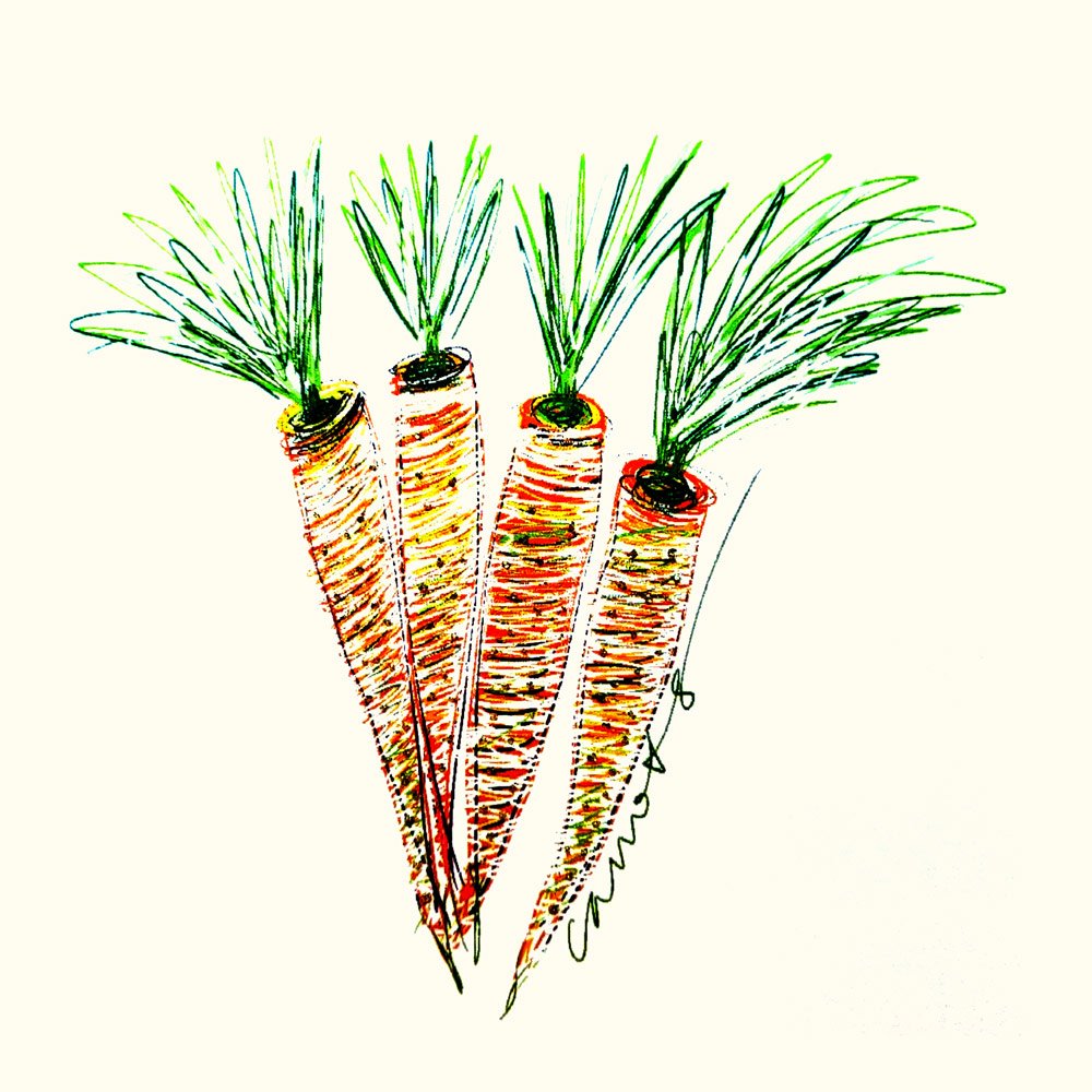 Carrots English Graphics