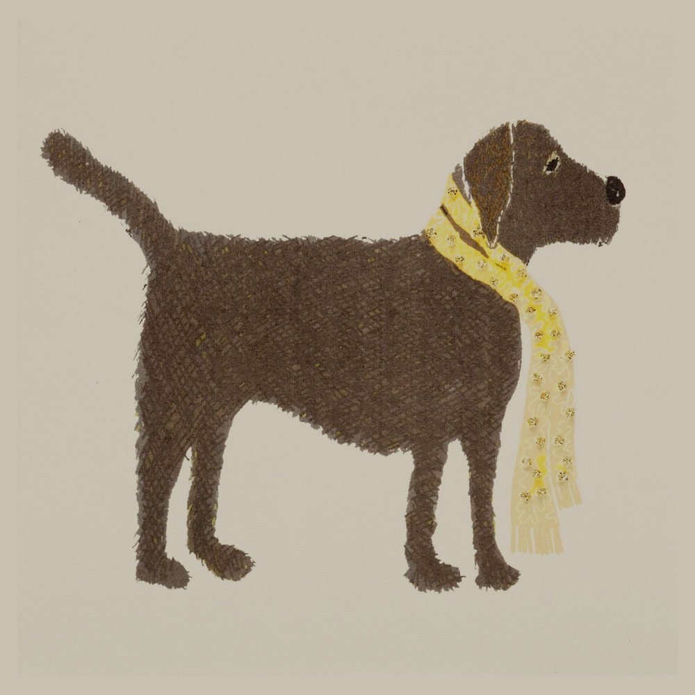 Chocolate Labrador - Image 3