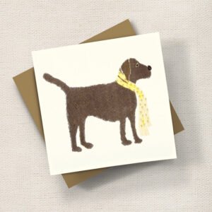 Chocolate Labrador