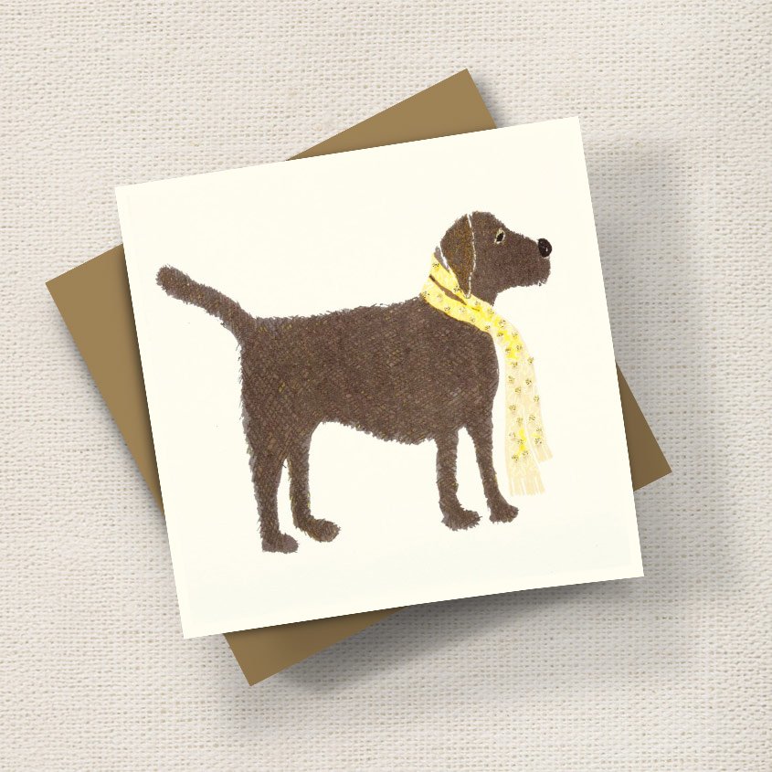 Chocolate Labrador
