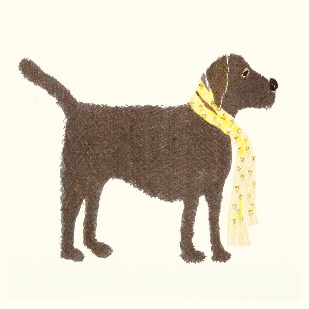Chocolate Labrador - Image 2