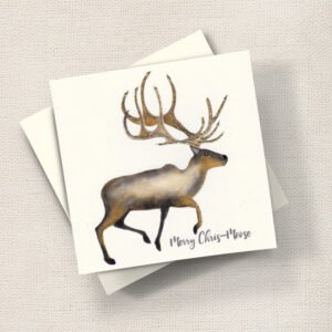 Christmas Cards