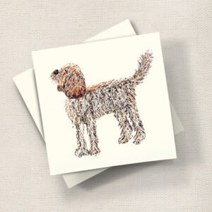 Cockapoo