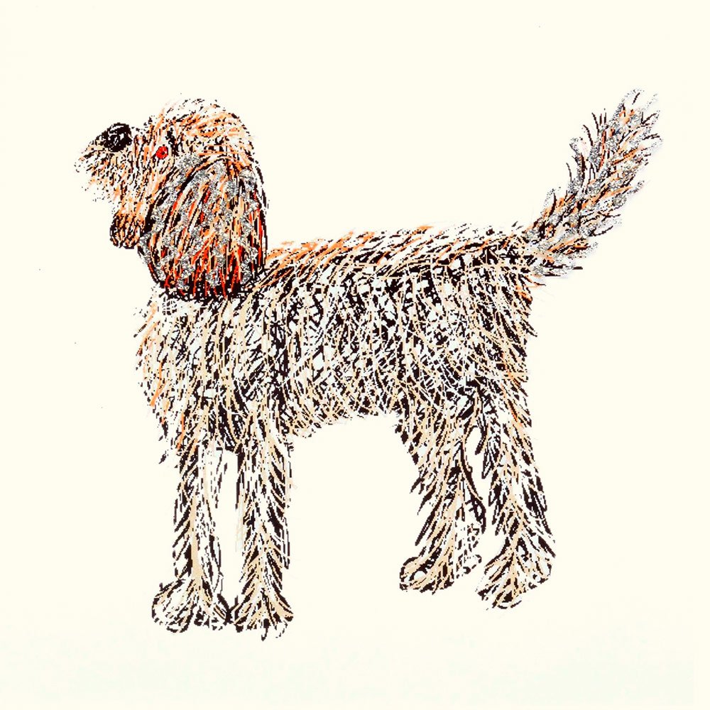Cockapoo English Graphics