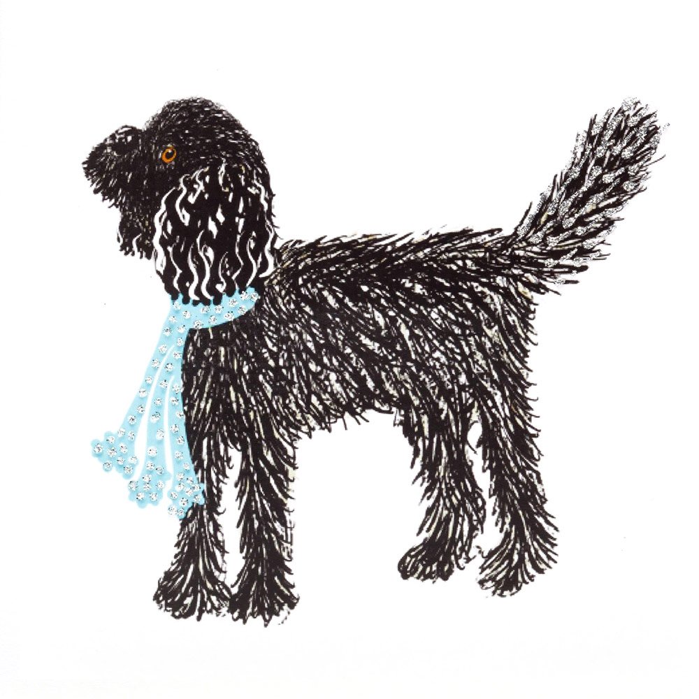 Cockapoo (Black) English Graphics