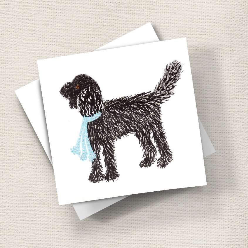 Cockapoo (Black)