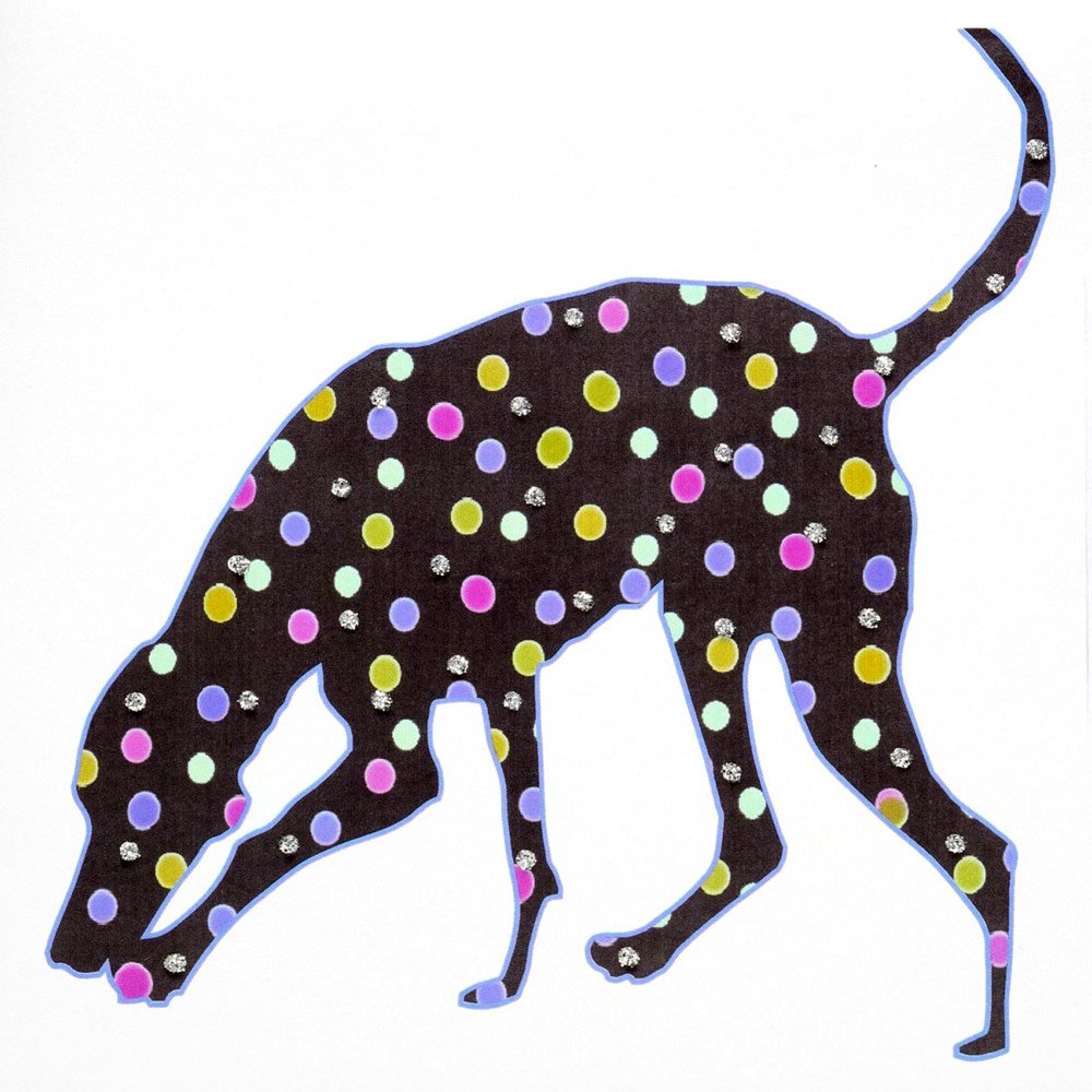Colourful Dalmatian English Graphics