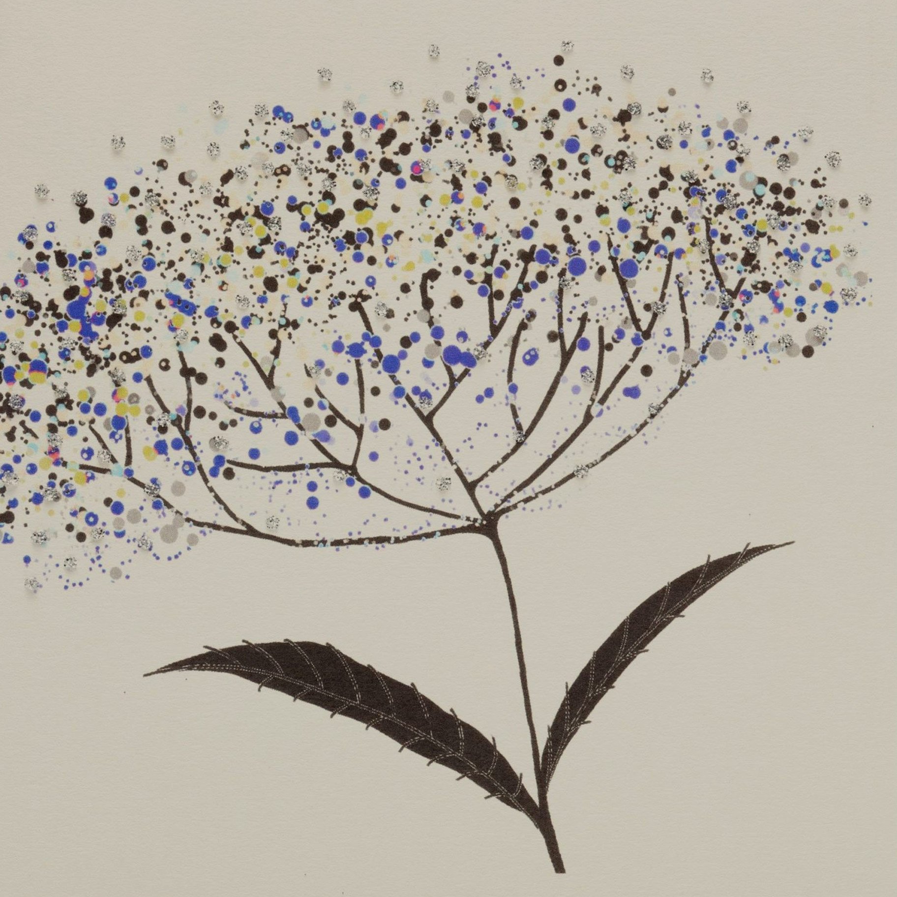 Cow Parsley - Image 3