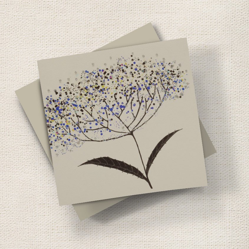 Cow Parsley English Graphics